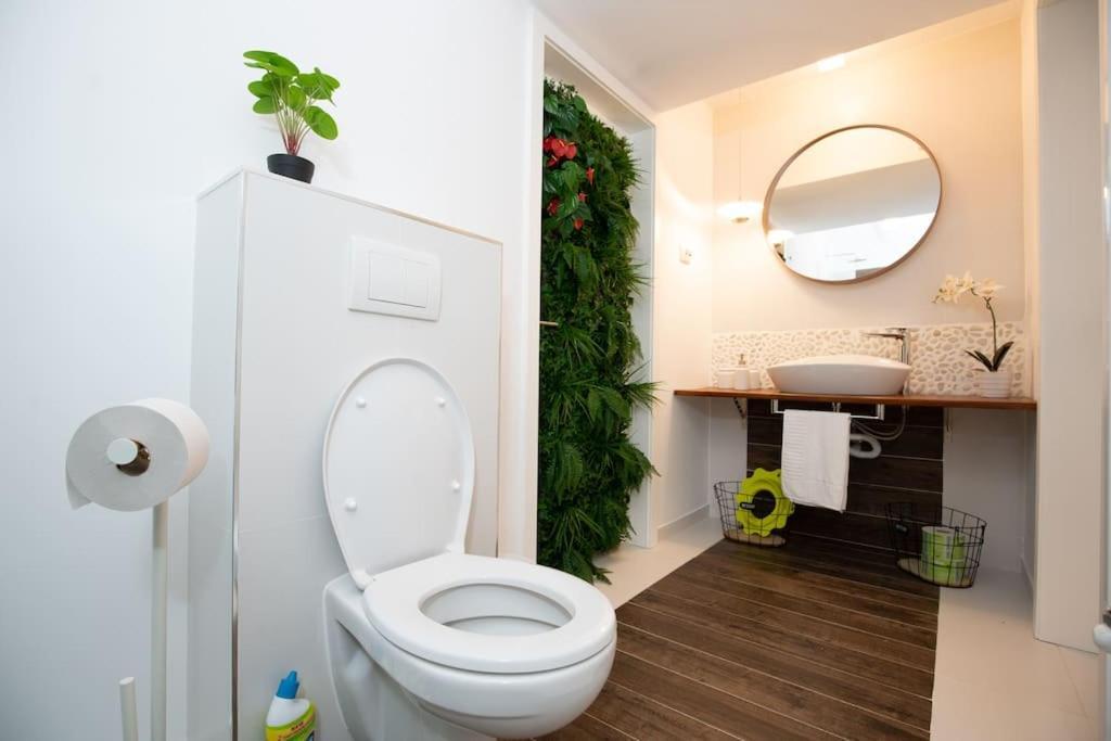 E-House Apartment Brasov Noua Εξωτερικό φωτογραφία